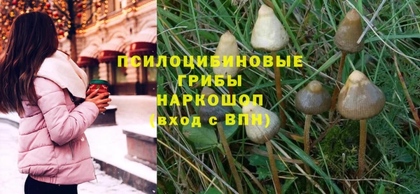 прущий лед Алексин