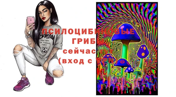 твердый Алзамай