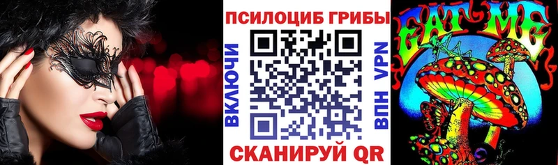 Псилоцибиновые грибы Psilocybe  купить   Пудож 